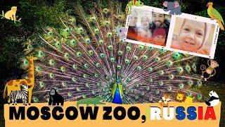 A Quick Tour of the Moscow Zoo - The Most Beautiful Zoo in Russia