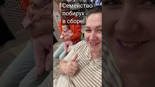 /Деревенский дневник очень многодетной мамы/Семейство побирух в сборе!