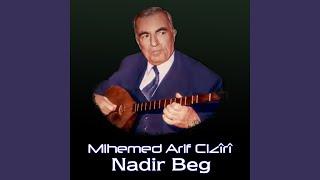 Nadir Beg