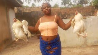 How to butcher a chicken for beginners (Graphic) African village girl in Nigeria