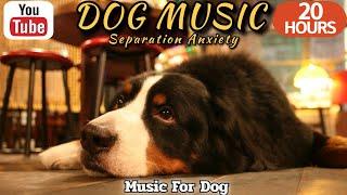 20 HOURS of Dog Calming Sleep MusicAnti Separation Anxiety Relief Music For Dogs⭐Healingmate