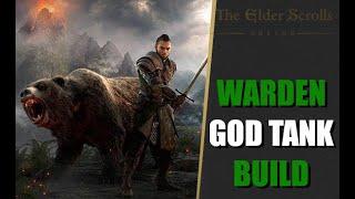 ESO Immortal Warden Tank Build! - Necrom