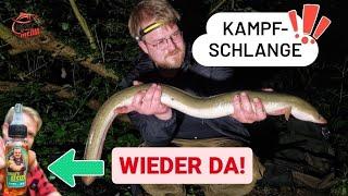 GREWALD GOES BIG: ANGRIFF DER KILLER-SCHLANGE am Fluss | EWALD’S BESTES räumt wieder ab!