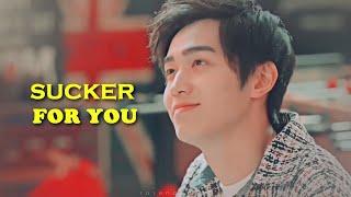 Pei Xi  Ji Xiang Kong || Sucker For You [Gank Your Heart fmv]