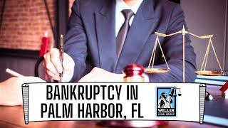 Bankruptcy Attorney Palm Harbor (Weller Legal Group)