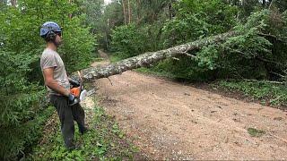 Clearing public roads  after a storm