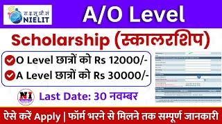 Apply Now: 12000 रूपए O Level Scholarship 2024 | o level scholarship form kaise bhare | Last Date