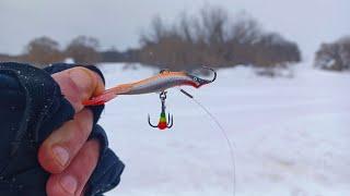НЕ КЛЮЁТ? СТАВЛЮ ЭТОТ БАЛАНСИР! Рыбалка на судака на малой реке зимой со льда в 2024
