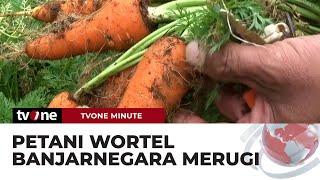 Petani Wortel Banjarnegara Mengeluh, Harga Anjlok Jadi Rugi! | tvOne Minute