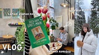 ЭТА КНИГА ПОМОЖЕТ ПОБЕДИТЬ НЕЧИТУН | Бакман «Здесь была Бритт-Мари» 