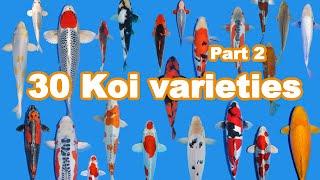 30 Koi Fish varieties, types and characteristics (part 2)