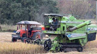 Kubota 4501 Tractor & KARTAR 3500(G) Hurricane Harvester Working in Riceland