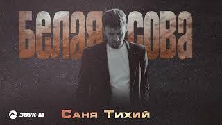 Саня Тихий - Белая сова | Премьера трека 2024