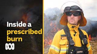 Prescribed burning to save lives and rejuvenate nature | ABC Australia