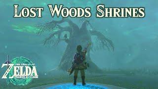 LOST WOODS SHRINES - The Legend of Zelda: Tears of the Kingdom - Gameplay Walkthrough