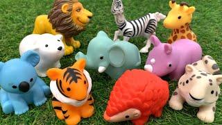 Ten Toy Animals (Counting Zoo Animal Toys) for Kids