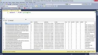 06 06 Extracting Passwords from SQL Server Hashes