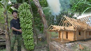 150 Days Harvesting bananas,dragon fruit,Custard apples to market sell.Earn money to build new house