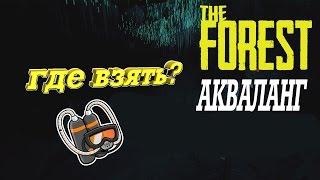 The Forest - Где найти акваланг??!
