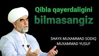 Qibla haqida | shayx Muhammad Sodiq muhammad Yusuf @islomuz