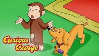 The Wrong Dog  Curious George Kids Cartoon  Kids Movies Videos for Kids