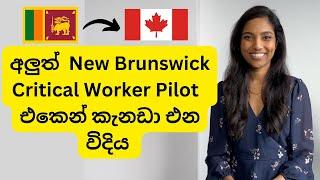 අලුත් New Brunswick Critical Worker Pilot එකෙන් කැනඩාවෙ PR ගන්න විදිය‍| පවුලේ අයත් එක්ක එන්න‍