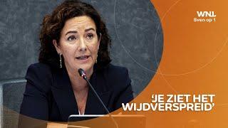 Femke Halsema over 'wijdverspreide' homohaat in Amsterdam: 'Jongeren onder invloed van Andrew Tate'