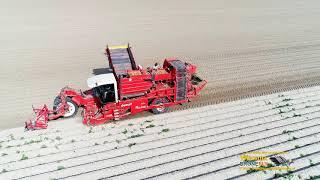 Maatschap Jensma Hallum. Aardappelenrooien met Dewulf RQA 3060