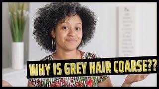 Why Is Grey Hair Coarse