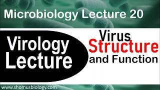 Virology lecture 1 | Virus structure and classification