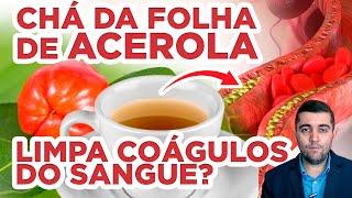 O poder oculto do chá da folha de Acerola: além da vitamina C, acabe com coágulos da má circulação