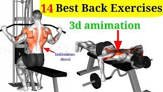 14 best back workout -3d animation #bodymotivationtips.#body.#back. #shoulder. #shoulder.#triceps