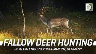 Fallow Deer Hunting In Mecklenburg-Vorpommern, Germany (Ep. 3)