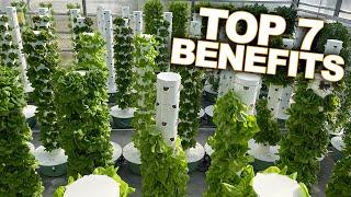 Vertical Farming with Aeroponics: Top 7 Benefits of a Tower Farm