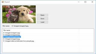 C# Tutorial - How to Save and Retrieve Image from Database | FoxLearn