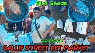 Recent Birds Seeds price update at Gallif Street pets Market on 27/08/2023 #birdseeds #birdfood