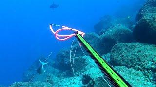 Spearfishing Hawaii Many Dives