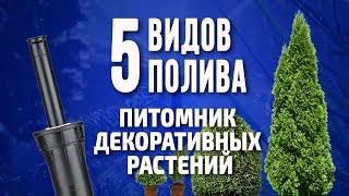 Пять видов полива в питомнике декоративных растений