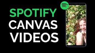 How to Make a Spotify Canvas Video - Tutorial, Tips, and Editing Template with Right Dimensions