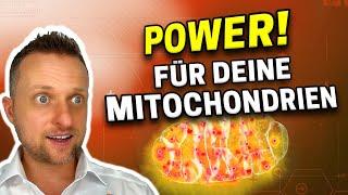 Mitochondrien Boost: So verbesserst du deine Zellgesundheit | Zellkraftwerke stärken