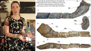 Giant Ichthyosaur Discovery - The Largest Marine Reptile...EVER