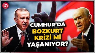 AKP'de bozkurt rahatsızlığı mı var? Yavuz Değirmenci'den çok konuşulacak sözler!