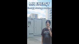 MK 100KW 300KWh Energy storage cabinets