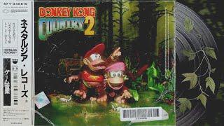 Chill with Diddy and Dixie: Donkey Kong Country 2 Lo-Fi Beats 