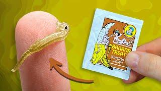 Sea-Monkeys Banana Treat | Packet Experiment Series: Video 5