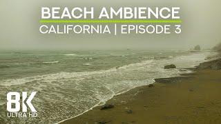 Beach Soundscape of the Pacific Ocean - 8K Scenic View to Enderts Beach, California - Episode 3