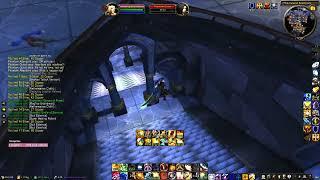 WotLK Paladin Karazhan Farming – 5 Pulls, 160 Mobs, 90-110 Gold in 10 Minutes