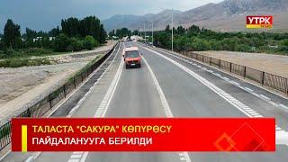 ТАЛАСТА “САКУРА” КӨПҮРӨСҮ ПАЙДАЛАНУУГА БЕРИЛДИ