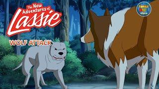 The New Adventures of Lassie | Wolf  Attack | Cartoon Series | @THEJUNGLEBOOKOFFICIAL