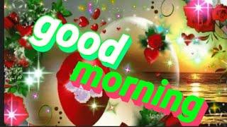 Good morning shayari WhatsApp status video